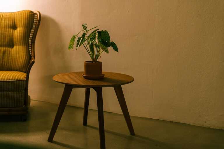 Simple Ways to Create a Cozy and Inviting Home Environment